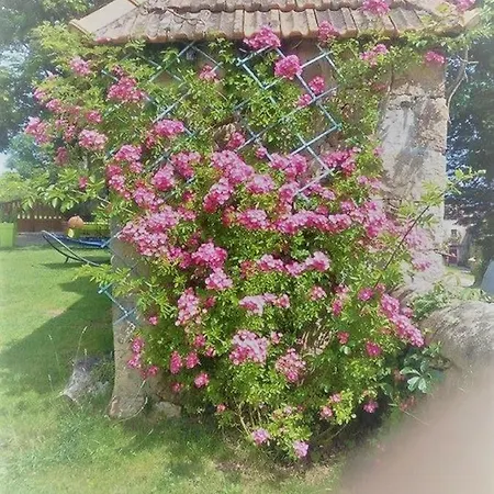 Tatil Evi Un Petit Coin De Paradis