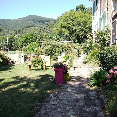Tatil Evi Un Petit Coin De Paradis Gluiras