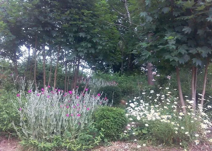 Un Petit Coin De Paradis * Gluiras
